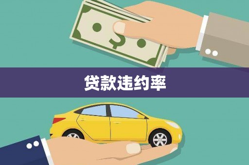 呼玛贷款违约率