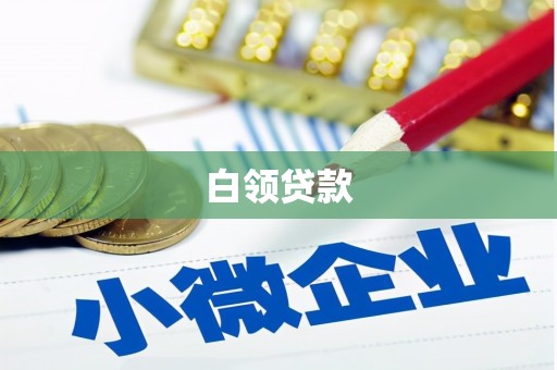 呼玛白领贷款