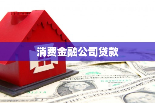 呼玛消费金融公司贷款