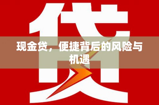呼玛现金贷，便捷背后的风险与机遇