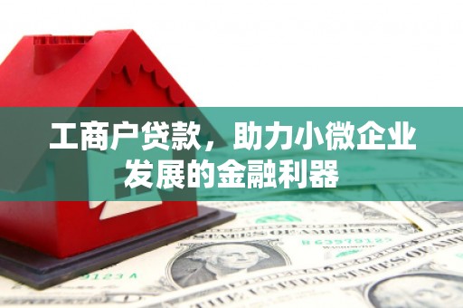 呼玛工商户贷款，助力小微企业发展的金融利器