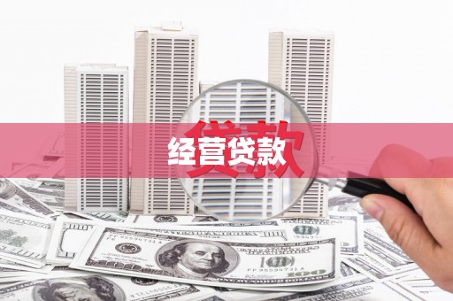 呼玛经营贷款