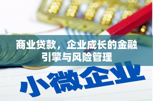 呼玛商业贷款，企业成长的金融引擎与风险管理