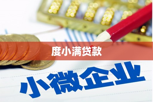 呼玛度小满贷款