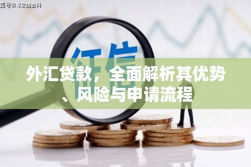 呼玛外汇贷款，全面解析其优势、风险与申请流程