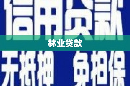呼玛林业贷款