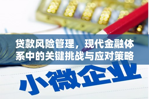 呼玛贷款风险管理，现代金融体系中的关键挑战与应对策略