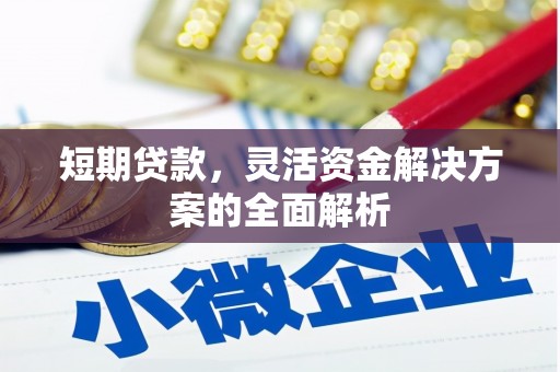 呼玛短期贷款，灵活资金解决方案的全面解析