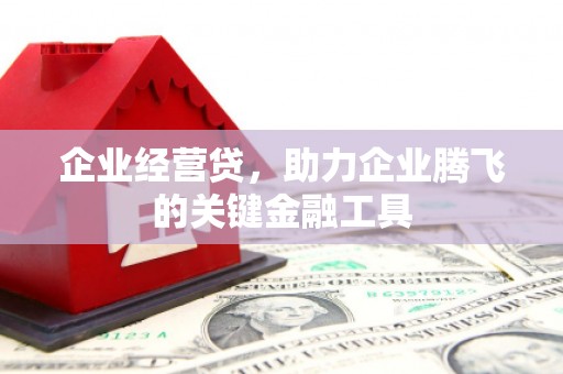 呼玛企业经营贷，助力企业腾飞的关键金融工具