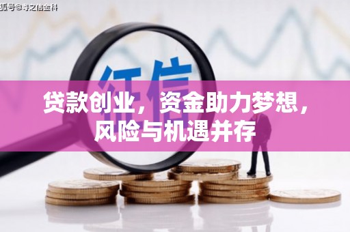 呼玛贷款创业，资金助力梦想，风险与机遇并存