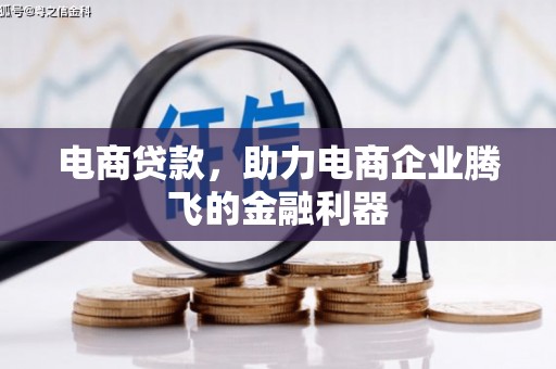 呼玛电商贷款，助力电商企业腾飞的金融利器