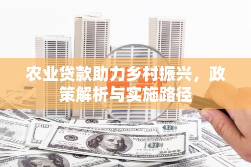 呼玛农业贷款助力乡村振兴，政策解析与实施路径