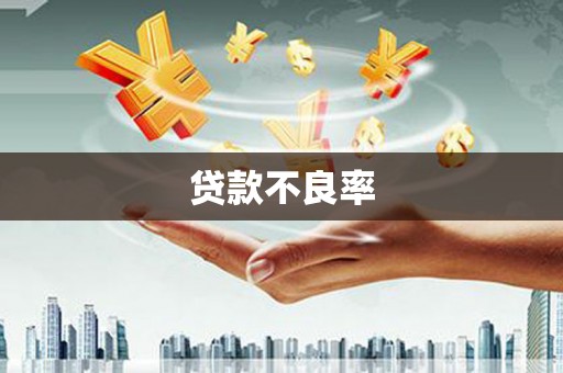 呼玛贷款不良率