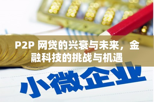 呼玛P2P 网贷的兴衰与未来，金融科技的挑战与机遇