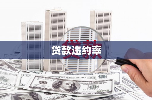 呼玛贷款违约率