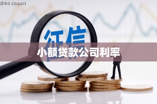呼玛小额贷款公司利率