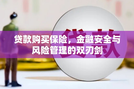 呼玛贷款购买保险，金融安全与风险管理的双刃剑