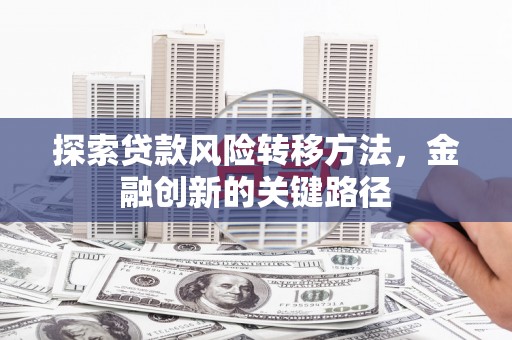 呼玛探索贷款风险转移方法，金融创新的关键路径