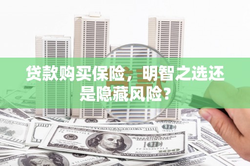 呼玛贷款购买保险，明智之选还是隐藏风险？