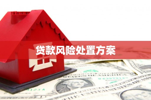 呼玛贷款风险处置方案