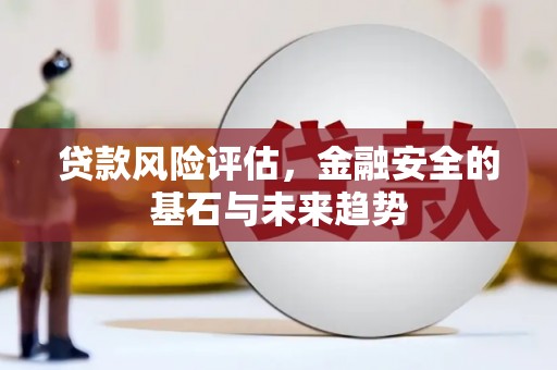 呼玛贷款风险评估，金融安全的基石与未来趋势
