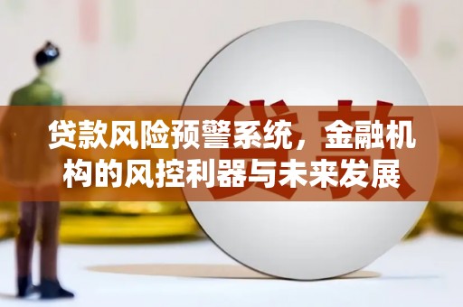 呼玛贷款风险预警系统，金融机构的风控利器与未来发展