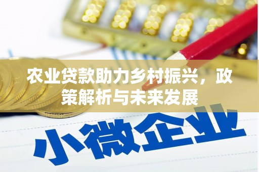 呼玛农业贷款助力乡村振兴，政策解析与未来发展