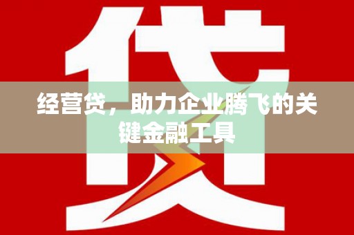 呼玛经营贷，助力企业腾飞的关键金融工具
