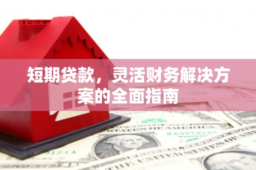 呼玛短期贷款，灵活财务解决方案的全面指南