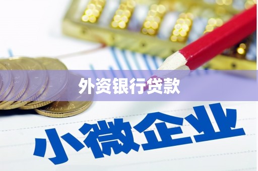 呼玛外资银行贷款