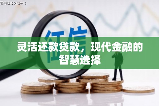 呼玛灵活还款贷款，现代金融的智慧选择