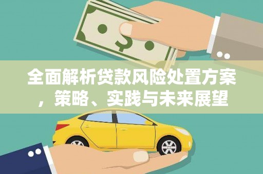 呼玛全面解析贷款风险处置方案，策略、实践与未来展望