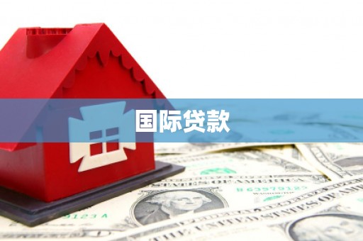 呼玛国际贷款