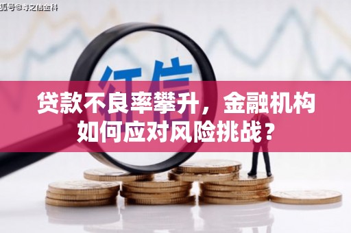 呼玛贷款不良率攀升，金融机构如何应对风险挑战？