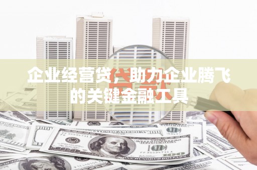 呼玛企业经营贷，助力企业腾飞的关键金融工具
