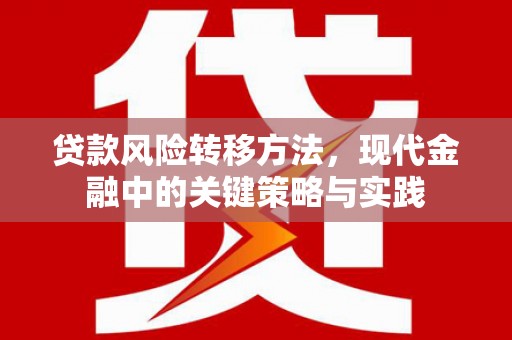呼玛贷款风险转移方法，现代金融中的关键策略与实践