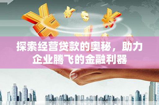 呼玛探索经营贷款的奥秘，助力企业腾飞的金融利器