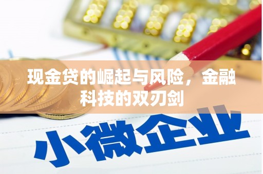 呼玛现金贷的崛起与风险，金融科技的双刃剑