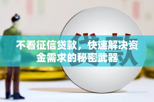 呼玛不看征信贷款，快速解决资金需求的秘密武器