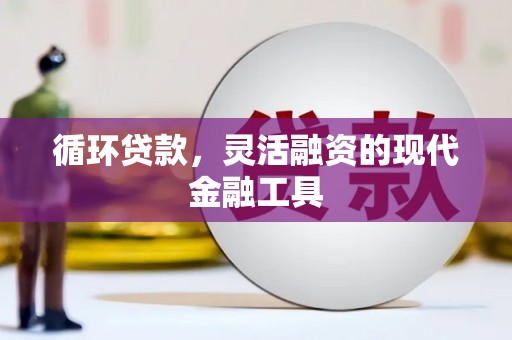 呼玛循环贷款，灵活融资的现代金融工具