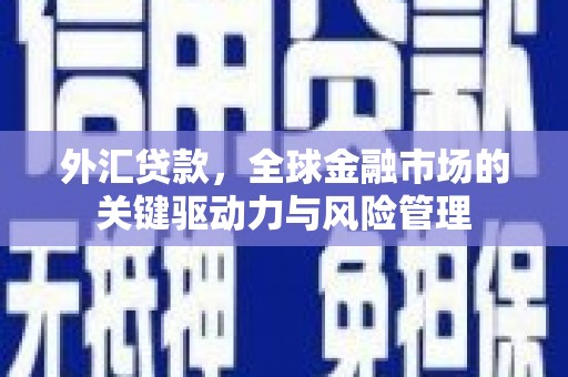 呼玛外汇贷款，全球金融市场的关键驱动力与风险管理