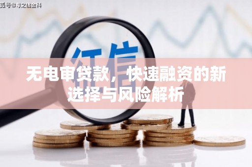 呼玛无电审贷款，快速融资的新选择与风险解析