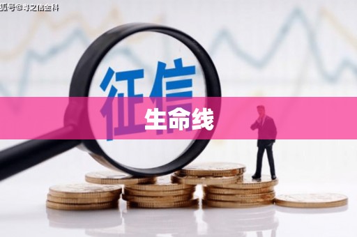 呼玛生命线