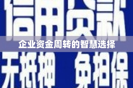 呼玛企业资金周转的智慧选择