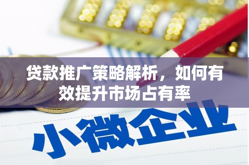 呼玛贷款推广策略解析，如何有效提升市场占有率