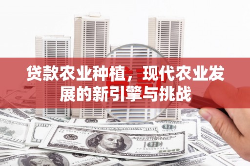 呼玛贷款农业种植，现代农业发展的新引擎与挑战