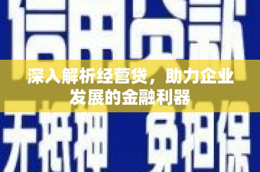 呼玛深入解析经营贷，助力企业发展的金融利器