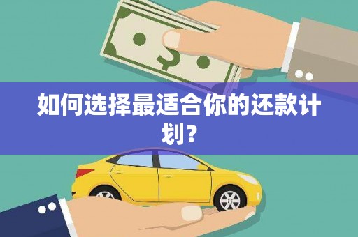 呼玛如何选择最适合你的还款计划？