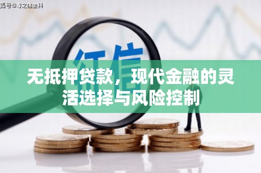 呼玛无抵押贷款，现代金融的灵活选择与风险控制