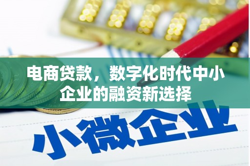 呼玛电商贷款，数字化时代中小企业的融资新选择